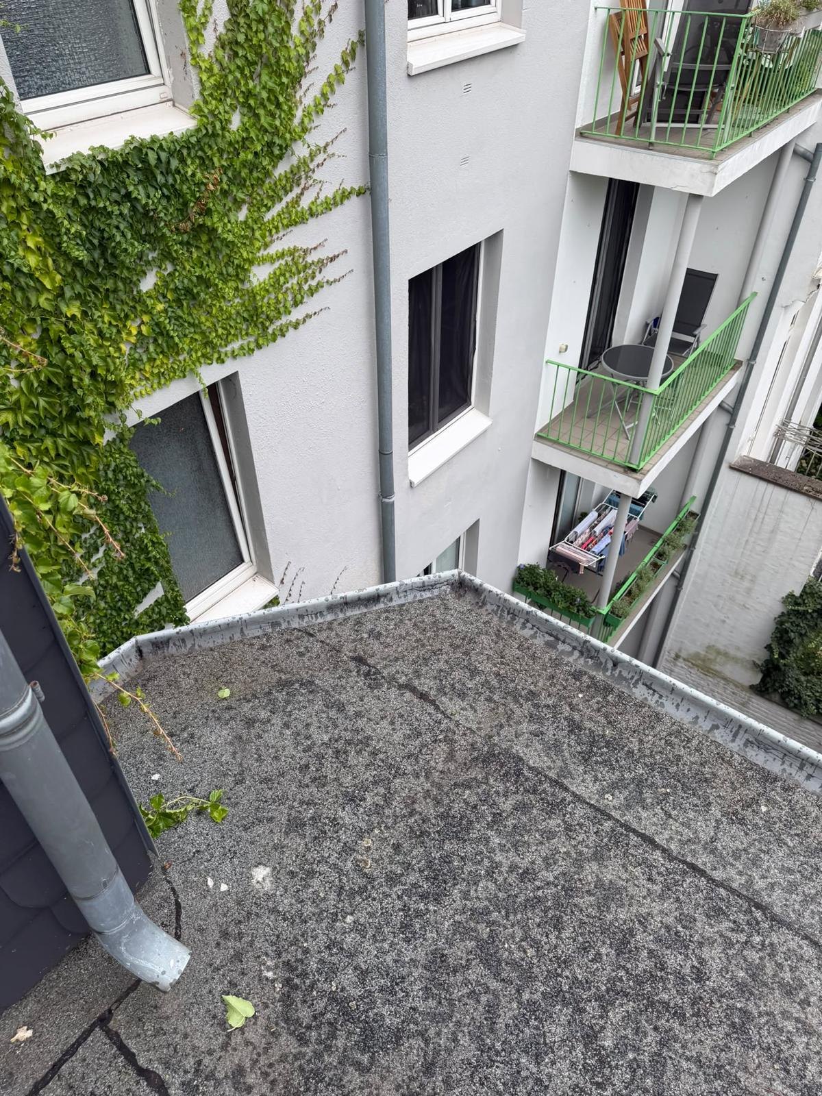 Freigeräumtes Flachdach in einem Innenhof nach dem Entfernen von Bewuchs, Düsseldorf-Unterbilk