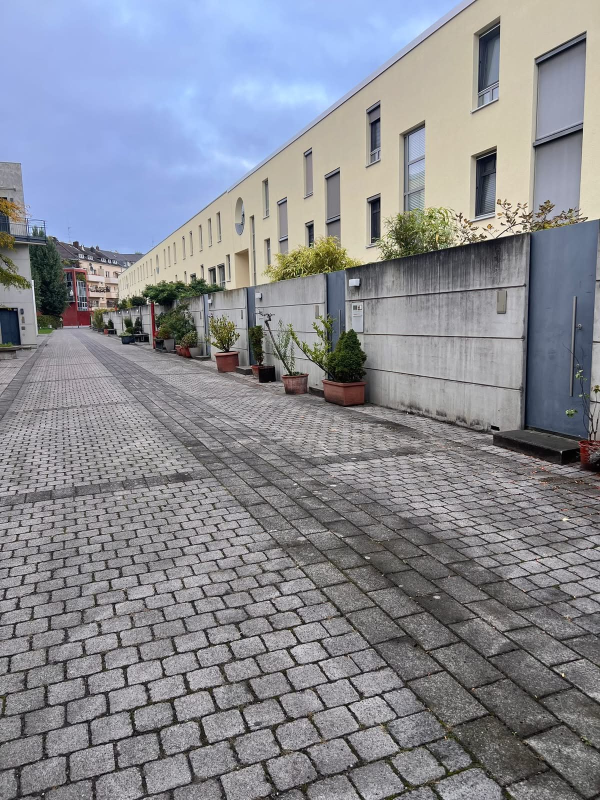 Pflasterweg einer Wohnanlage vor der Hochdruckreinigung: dunkel verfärbt, Grünbelag in den Fugen, Düsseldorf-Oberbilk